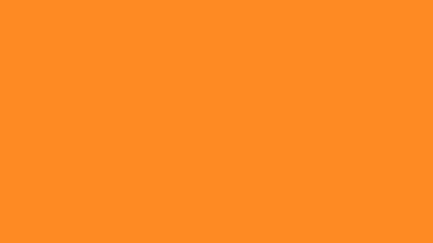 robb_strk online show from 06/13/26, 11:46