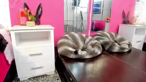 Snapshot of roberts_vannellope chatting on 04/08/26, 12:27 Vannellope online show from 04/08/26, 12:27