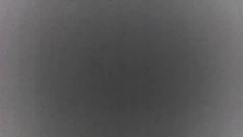 roberttocumcum online show from 02/19/26, 09:11