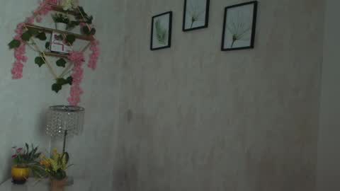 robin D online show from 02/02/26, 01:10