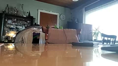 Snapshot of robke1966 chatting on 01/22/25, 11:56 robke1966 online show from 01/22/25, 11:56