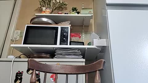 robke1966 online show from 04/06/26, 05:52