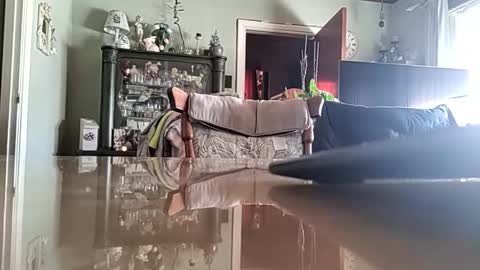 robke1966 online show from 04/12/26, 06:40