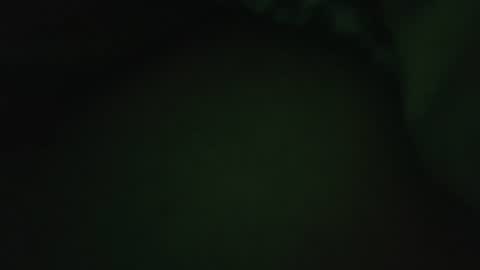 rocce4147 online show from 08/07/26, 04:58