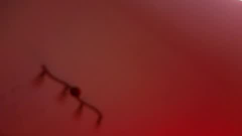 rochelle_dolly online show from 04/10/26, 08:35