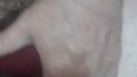 rokk_dude online show from 10/26/25, 02:28