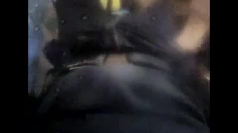 Snapshot of rollino83 chatting on 11/06/25, 10:38 rollino83 online show from 11/06/25, 10:38