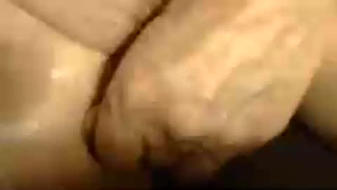 romantiko9 online show from 06/13/26, 05:33