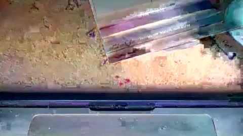 romeo9000x online show from 01/06/26, 02:26