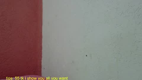 Snapshot of ronnispoto chatting on 01/27/25, 09:22 ronny online show from 01/27/25, 09:22