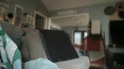 Ronny  Smokey online show from 12/08/24, 04:18