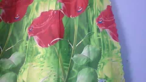 Snapshot of rosah225127 chatting on 04/14/26, 02:28 rosah225127 online show from 04/14/26, 02:28