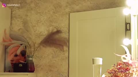 Snapshot of rosaliefetish chatting on 11/21/25, 06:28 Rosalie online show from 11/21/25, 06:28