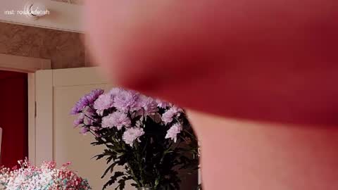 Rosalie online show from 03/31/26, 03:41