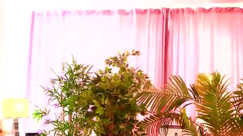 Rosa online show from 07/27/26, 08:21