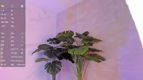 rosary_waith_ online show from 09/13/25, 04:45