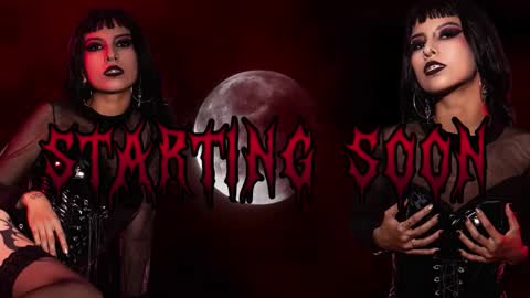 Ally online show from 03/08/26, 06:44