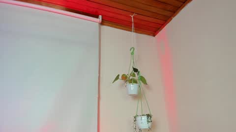 Lyla OF roselinedior online show from 02/04/25, 02:21