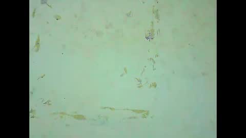 rosie6601 online show from 03/21/26, 08:19