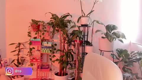 Im Ross   online show from 10/24/25, 07:43