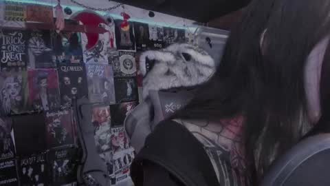 rot online show from 03/01/26, 06:10