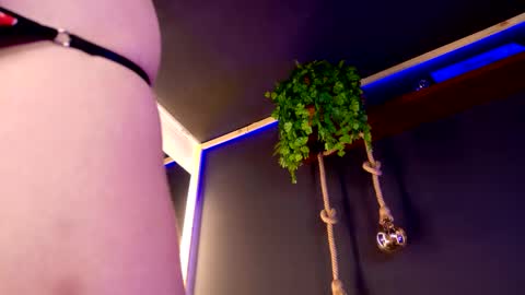 Snapshot of roxxxevelvet chatting on 11/30/25, 10:47 Roxx IG online show from 11/30/25, 10:47