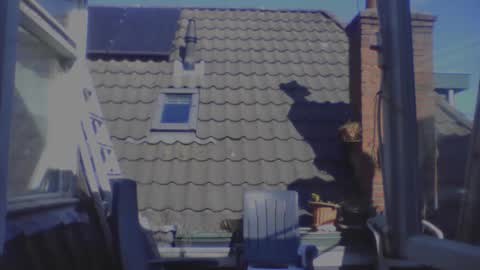 royalpapi12 online show from 04/01/26, 01:41