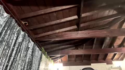 Snapshot of rp30 chatting on 01/19/26, 01:15 Richhancocc online show from 01/19/26, 01:15