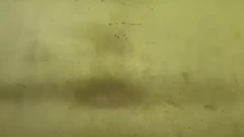 Snapshot of rupali01 chatting on 12/17/25, 03:56 Rupali online show from 12/17/25, 03:56