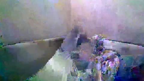 rusqadisx online show from 07/17/26, 06:35