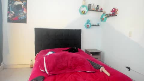 Ryan 15 online show from 02/05/25, 04:58