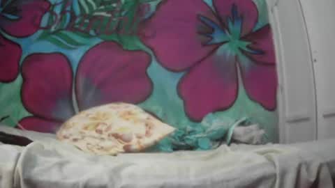 Javier online show from 07/20/26, 12:58