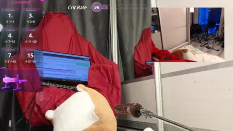 s1lent_v0id online show from 01/25/25, 02:47