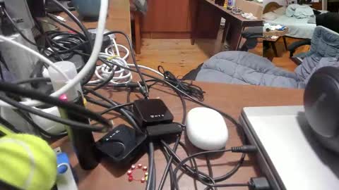 1141323  my Lord Mister Max   moms treasure online show from 11/27/25, 10:56