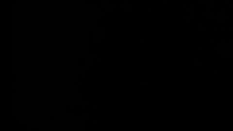 sabrina81_ online show from 02/25/26, 10:30