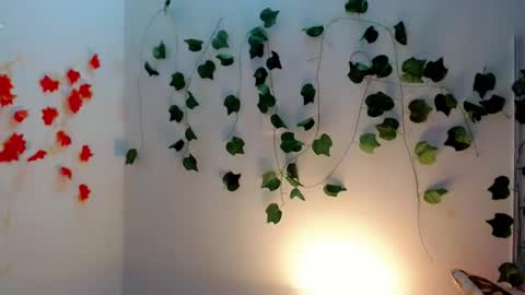 SABRI online show from 01/28/25, 12:11