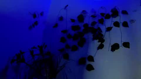 Snapshot of sabrinaexpositoxx chatting on 04/01/26, 02:23 SABRI online show from 04/01/26, 02:23