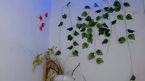 Snapshot of sabrinaexpositoxx chatting on 04/04/26, 03:09 SABRI online show from 04/04/26, 03:09