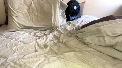 R online show from 01/26/25, 09:18