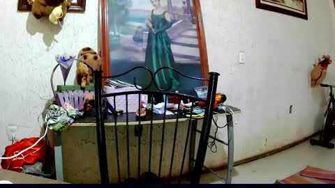 ruby  chocoholic cakeholic coffeeholic cookieholic online show from 10/02/25, 09:11