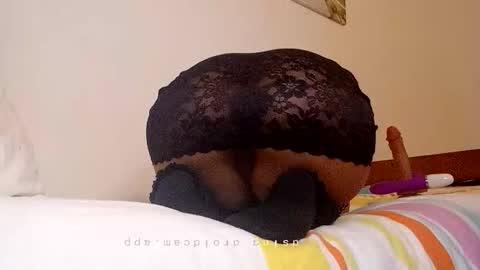 sakurahot95 online show from 03/04/26, 06:58