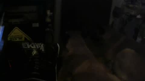 salaso138 online show from 02/14/25, 11:31