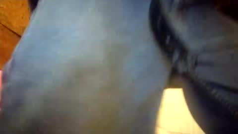 Snapshot of salido543 chatting on 12/23/25, 02:31 Penoso online show from 12/23/25, 02:31