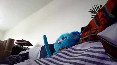 salis1981 online show from 01/25/25, 10:28