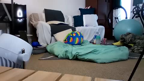 salis1981 online show from 02/19/25, 12:35