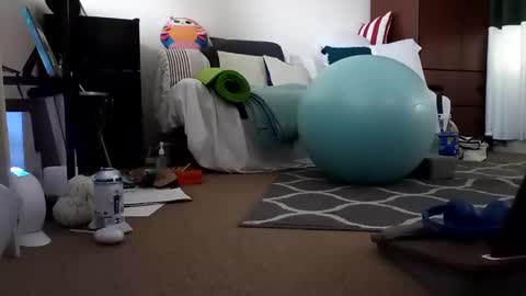 salis1981 online show from 02/25/25, 12:58