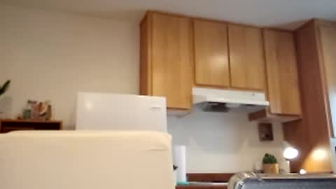 salis1981 online show from 03/02/25, 05:36