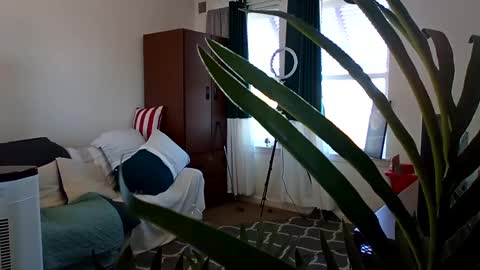 salis1981 online show from 03/03/25, 05:39