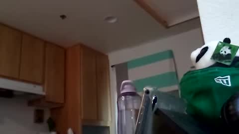 salis1981 online show from 09/18/25, 07:49