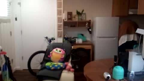 salis1981 online show from 09/25/25, 06:33